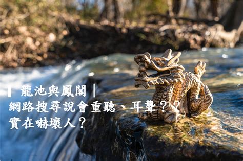 龍池|龍池與鳳閣